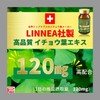 Ribeto Ginkgo Leaf Extract Plus 30-Day Supply [Made in Switzerland]