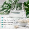 NAC Supplement, 600mg - 90 N-Acetyl-Cysteine Capsules- Vegan Friendly Amino