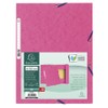 Exacompta 55520E Folder (Manila Cardboard, with elastic strap and 3