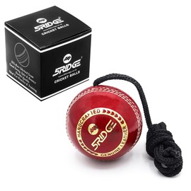 5RIDGE String Cricket Balls – Cricket Shot Practice Hanging Ball Develop Hand-Eye Coordination Leather Hanging Cricket Ball for Practice and Knocking Cricket Ball with Rope