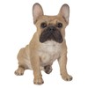 Vivid Arts (Sitting French Golden Bulldog