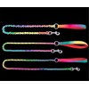 JWPC Rainbow Color Chain Chrome Plated Metal Dog Leash Dog