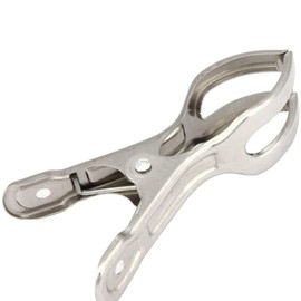 Clothes Pins, 12Pcs Large Heavy Duty Metal Clothespins Metal Clips for Hanging Stainless Steel Clothespins Clothes Pins for Laundry