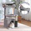 Pawfessor Cat Tree 32 Inches Small Cat Tower with Large
