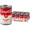 Campbell’s Condensed Spicy Chicken Noodle Soup, 10.5 oz Can (Pack