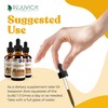 Active Turmeric - Advanced Liquid Supplement - Curcuma Longa Extract