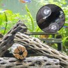 Aquarium Suction Cups with Cable Ties, Transparent Aquarium Suction Cup