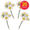 Baker Ross FX956 Daisy Picks - Pack of 20, Spring