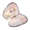JNMM Freshwater Pearl Oyster Cultured Love Wish Round Pearls Various