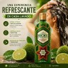 Shampoo Huichol Bergamota 400 ml Crecimiento y Anti Frizz
