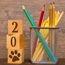 3 Inch Alphabet Stencils for Painting on Wood – 38 PCS Reusable Letter & Number Templates with Heart & Paw Prints for Journal, Cookies, Wall & DIY Home Décor