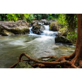 Waterfall Aquarium Background Natural Jungle Rainforest Landscape Terrarium Background Jungle Style Stream Fish Tank Background Waterfall Rainforest Reptile Habitat Background Poster Vinyl 30x12in