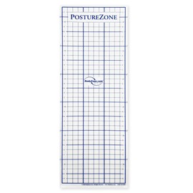 Posture Grid for Posture Assessment - Door Mount by PostureZone.com