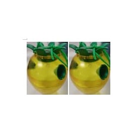 Fruit Fly Trap for Indoors-2huang-LEDcaomei-W4-2024.9.28-DE1