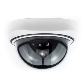 Digicharge Dummy Fake Outdoor Indoor Dome CCTV Security Camera Surveillance with Blinking LED