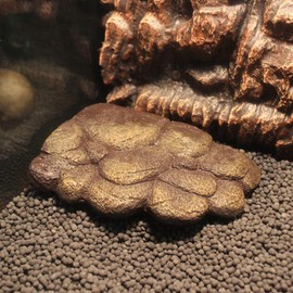HIERYAN Turtle Basking Platform, Reptile Floating Basking Platform, Magnetic Floating Island Stone Texture Landscape Fish Tank Ornament