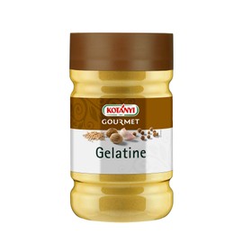 Kotanyi Gelatin Spices for Bulk Consumers and Catering, 700 g
