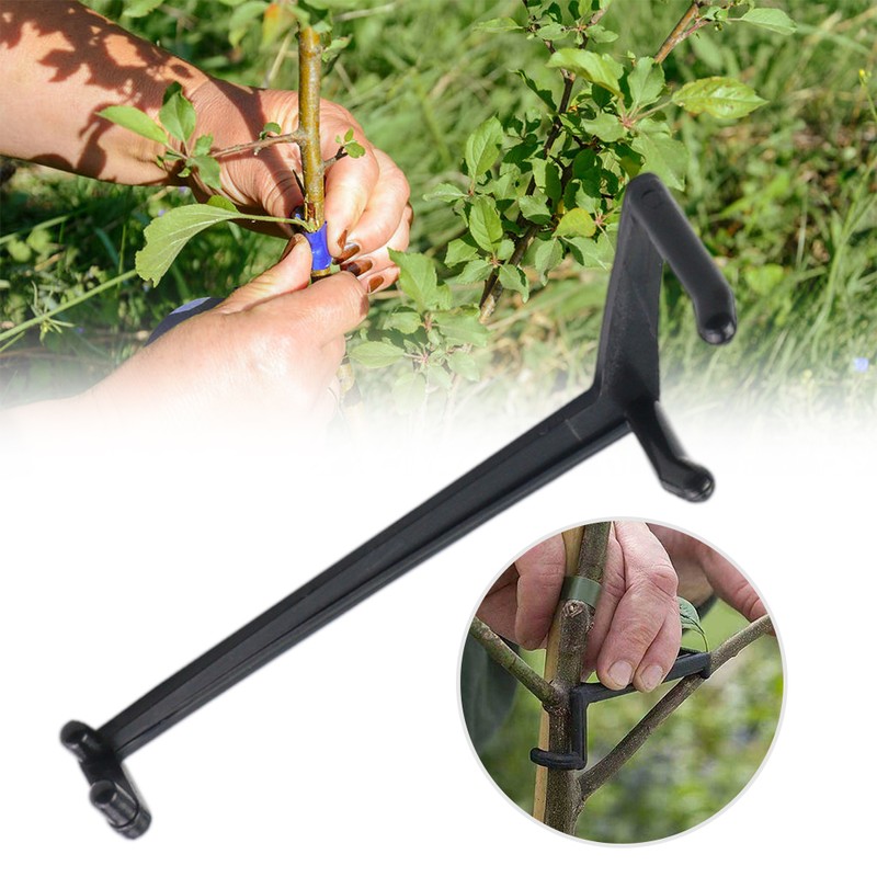 100PCS Adjustable Fruit Branch Spreader to Support New Branch Growth