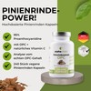 500 mg Pine Bark Extract Capsules with OPC + Natural