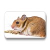 Hamsters/Dwarf Hamsters/Syrian Hamsters – 6 Rectangular Memo Board/Pinboard White Board