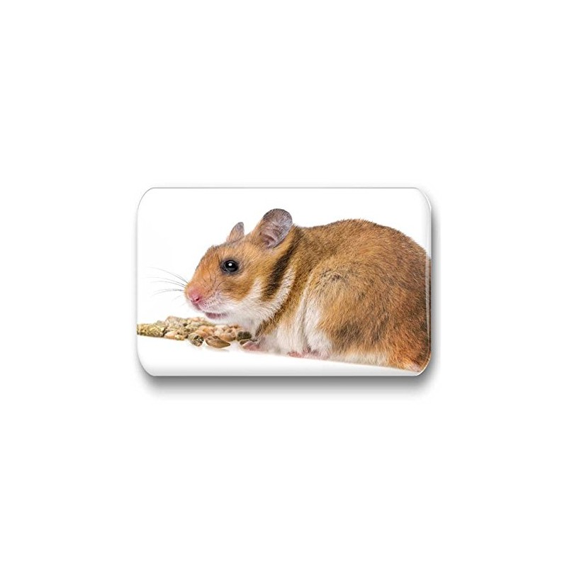 Hamsters/Dwarf Hamsters/Syrian Hamsters – 6 Rectangular Memo Board/Pinboard White Board
