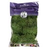 SuperMoss (21539) Mood Moss Preserved, 200 Cubic Inch Bag (Appx.