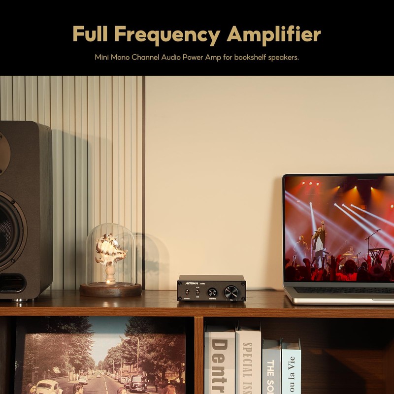 AIYIMA A3001 Mini Stereo Amp 300W Subwoofer Amplifier TPA3255 Class