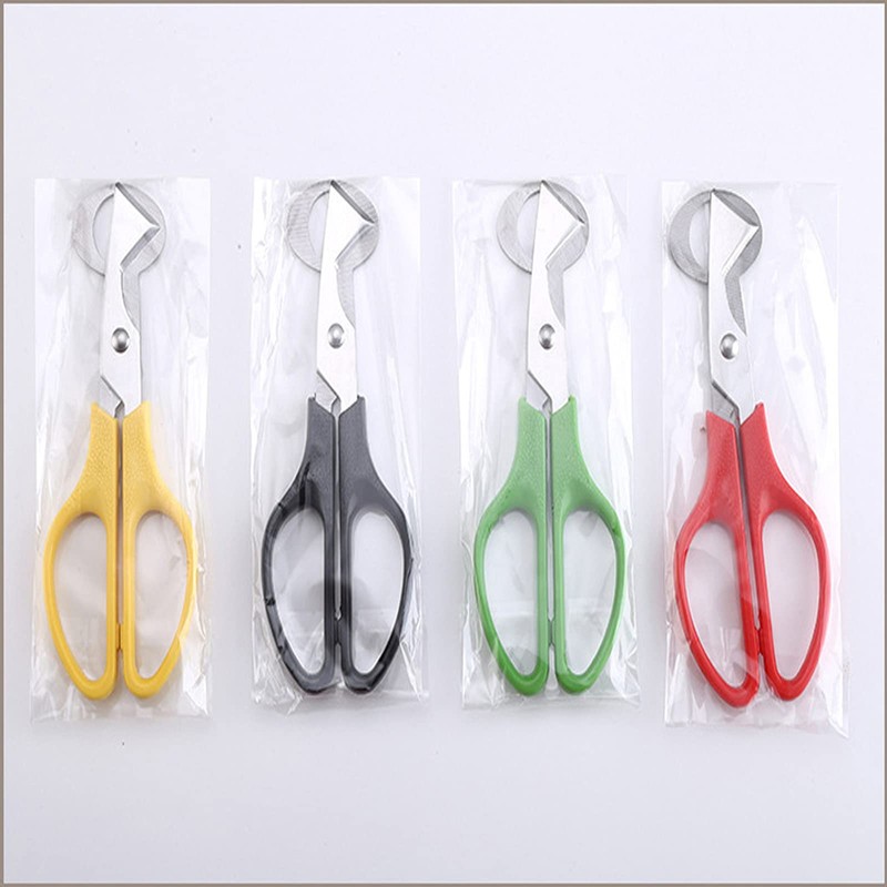 Pack of 4 Quail Egg Scissors, Stainless Steel Quail Egg