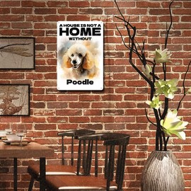 Ymyoo Metal Sign Tin Sign Vintage Dog Wall Art A House is Not A Home Without Poodle Garden Tin Sign for Restaurant 8×12 Inches