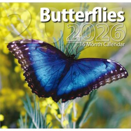 2026 Butterflies Full Size Wall Calendar for Planning, Scheduling, and Organizing