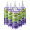 ORS Olive Oil Braidzone Herbal Cleanse Dry Shampoo with Lavender