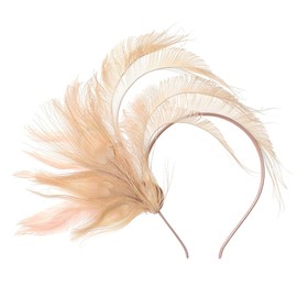 BABEYOND Fascinator Hat Feather Fascinator Hair Clip Tea Party Pillbox Derby Hat Fascinator Headband for Bridal Wedding