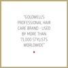 Goldwell Dual Senses Rich Repair 6 Effects Serum, 3.4 Ounce