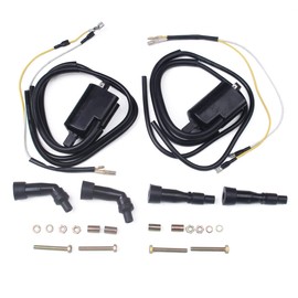 Goodbest New 2 SETS Ignition Coils and Spark Plug Caps Compatible With Suzuki GS550 GS750 GS850 GS1000 Replace # 33410-45012