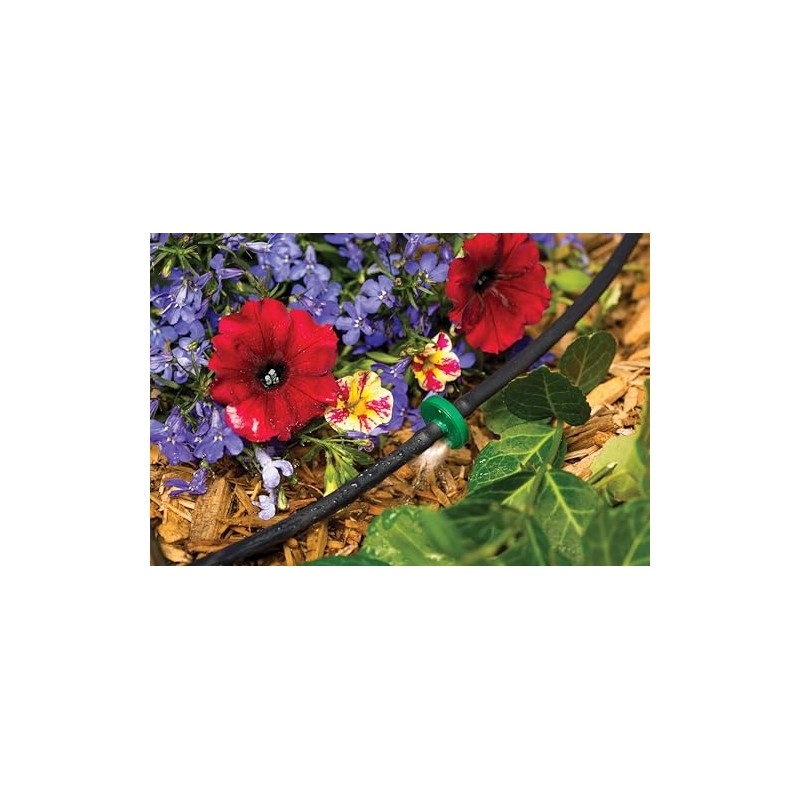 Rain Bird ILD2010PKXS Drip Irrigation in-Line Dripper/Emitter, 2 Gallon Per