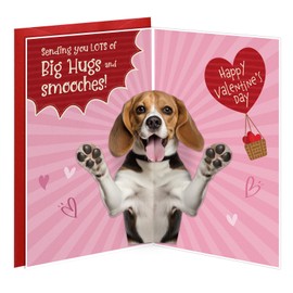 D24TIME Funny Valentines Day Cards Gifts for Him Her Boyfriend Girlfriend Kids Couple Husband Family Friends Cute Love Card for Him Pet Lovers Anniversary Birthday Gifts Greeting Cards with Envelopes