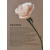 Aromatica. Reviving Rose Infusion Cream Cleanser, crema limpiadora de infusión