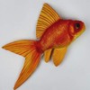 GABY Fish Pillows Goldfish Cushion, Multicoloured, M (Pack of 1)