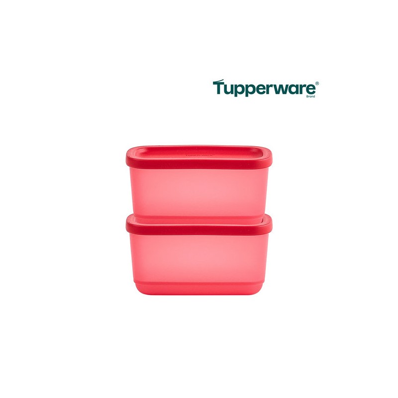Tupperware Singsing Block Mini Rectangular 250ml 2-pack