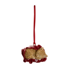 Uvia H22404-1 Tea Tiger Cat Wrapped in Blanket Ornament Doll Figurine 4.7 x 2.4 x 4.3 inches (12 x 6 x 11 cm), Animal