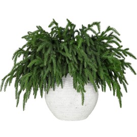 30 Pcs Realistic Christmas Pine Branches, Natural Droopy,Soft Bendable Christmas Pine Stems, Lifelike Cedar Stems for Vases, Wreaths,Garland Christmas Decorations，Christmas Thanksgiving Table Decor