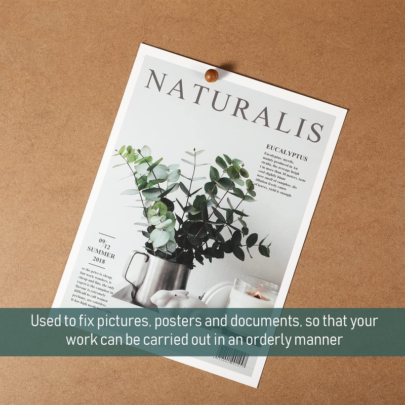 Wooden Push Pins Thumb Tacks Push Pins for Cork Board