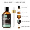 MAYJAM MAYJAM Eukalyptus ?therisches ?l 30ML, Eukalyptus?l fr Diffusor, Luftbefeuchter,