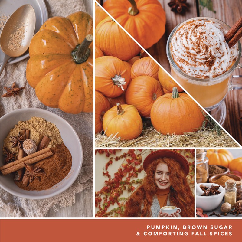 Yankee Candle Spiced Pumpkin Scented, Classic 22oz Large Jar Single
