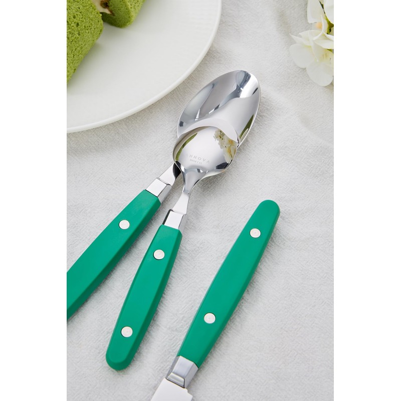 ANNOVA Silverware Set 20 Pieces Stainless Steel Color Handle With