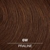 COLORCHARM Permanent Liquid Hair Color | 6W Praline | Up
