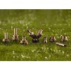 POPPSTAR Set of 2 Brass Quick Coupling 1 Inch Nozzle