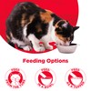 Country Kitchen Salmon Puree Lickable Cat Treats, 2 oz, Pack