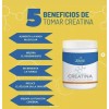 Sheló Nabel Creatina Monohidratada En Polvo 460g