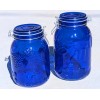 Circleware Blue Orchard cobalt blue colored glass Jars, 2 piece: